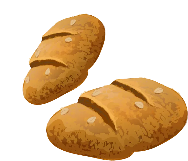Bakery  Bucket 
                              Where every bi - 开云10